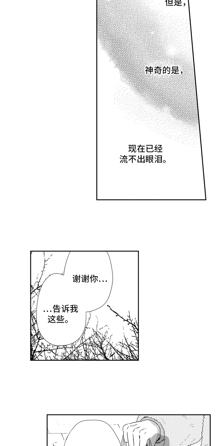 第17章：释怀4