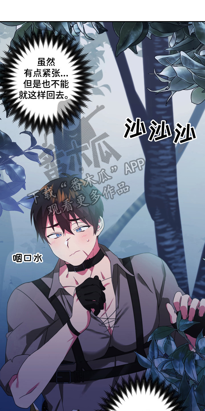 第45章：从胸口开始的骑士精神：魔物0