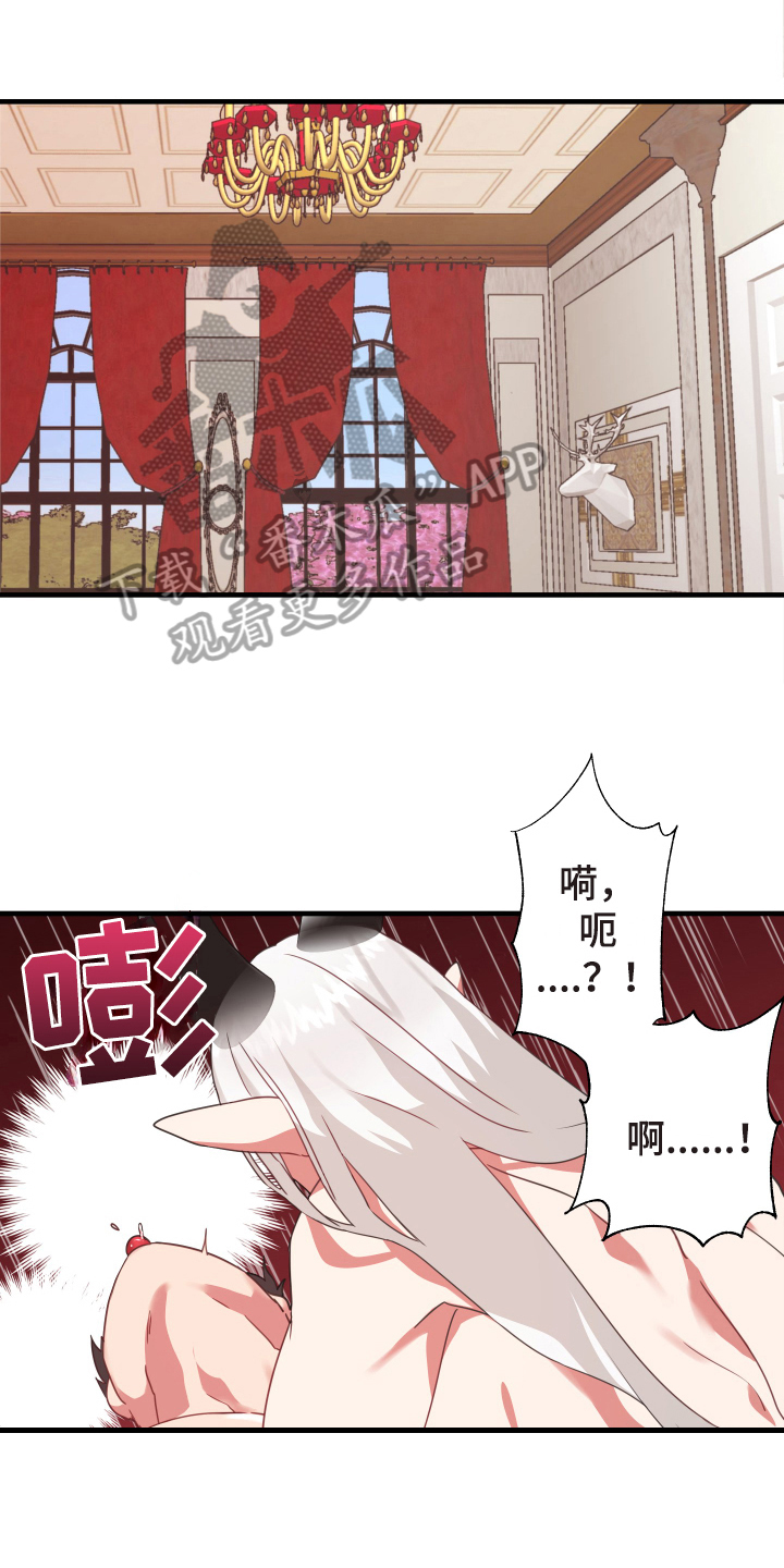 第50章：从胸口开始的骑士精神：享受0