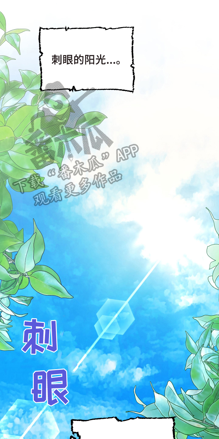 第52章：从胸口开始的骑士精神：抽象画0
