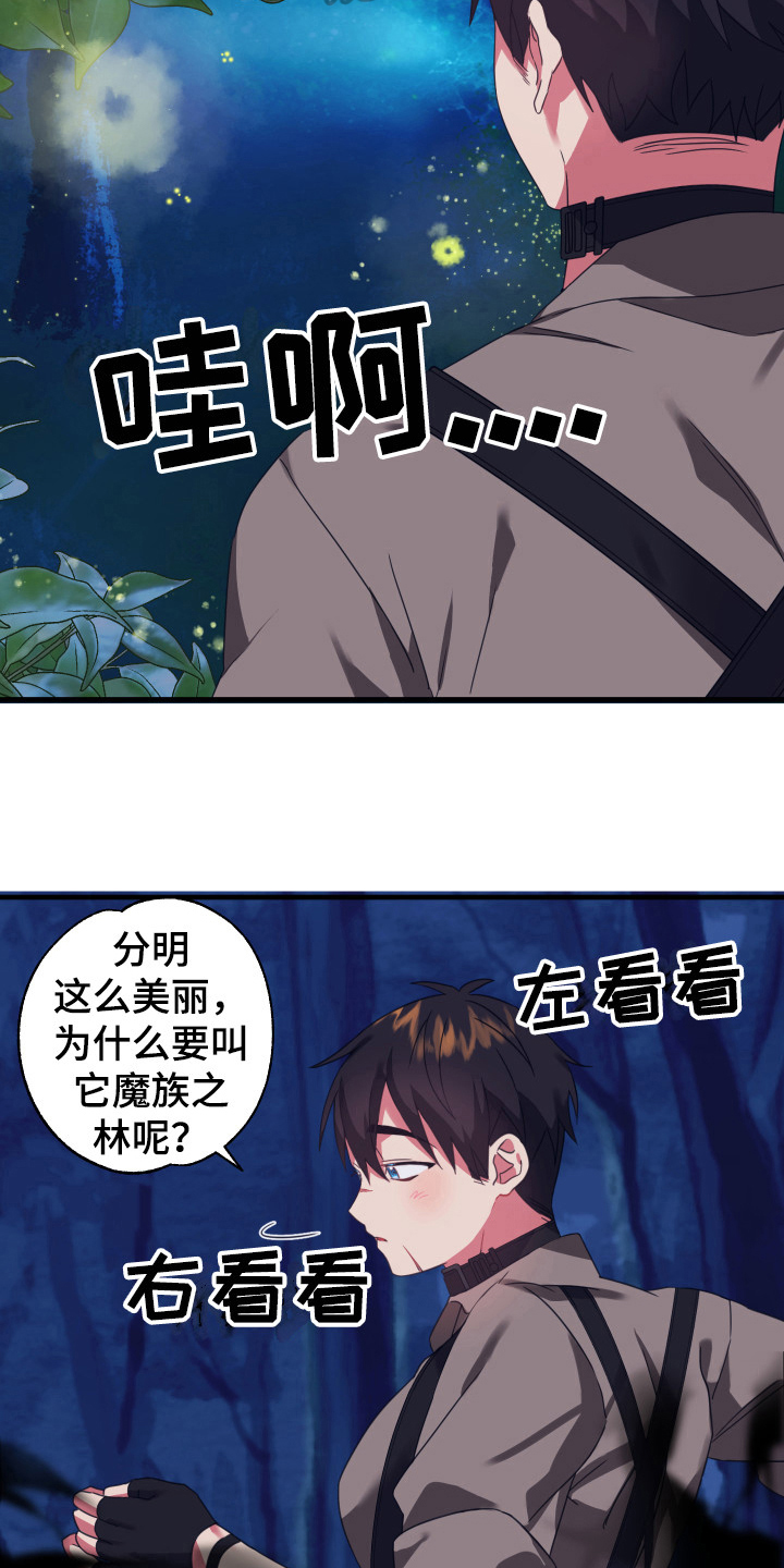 第45章：从胸口开始的骑士精神：魔物4