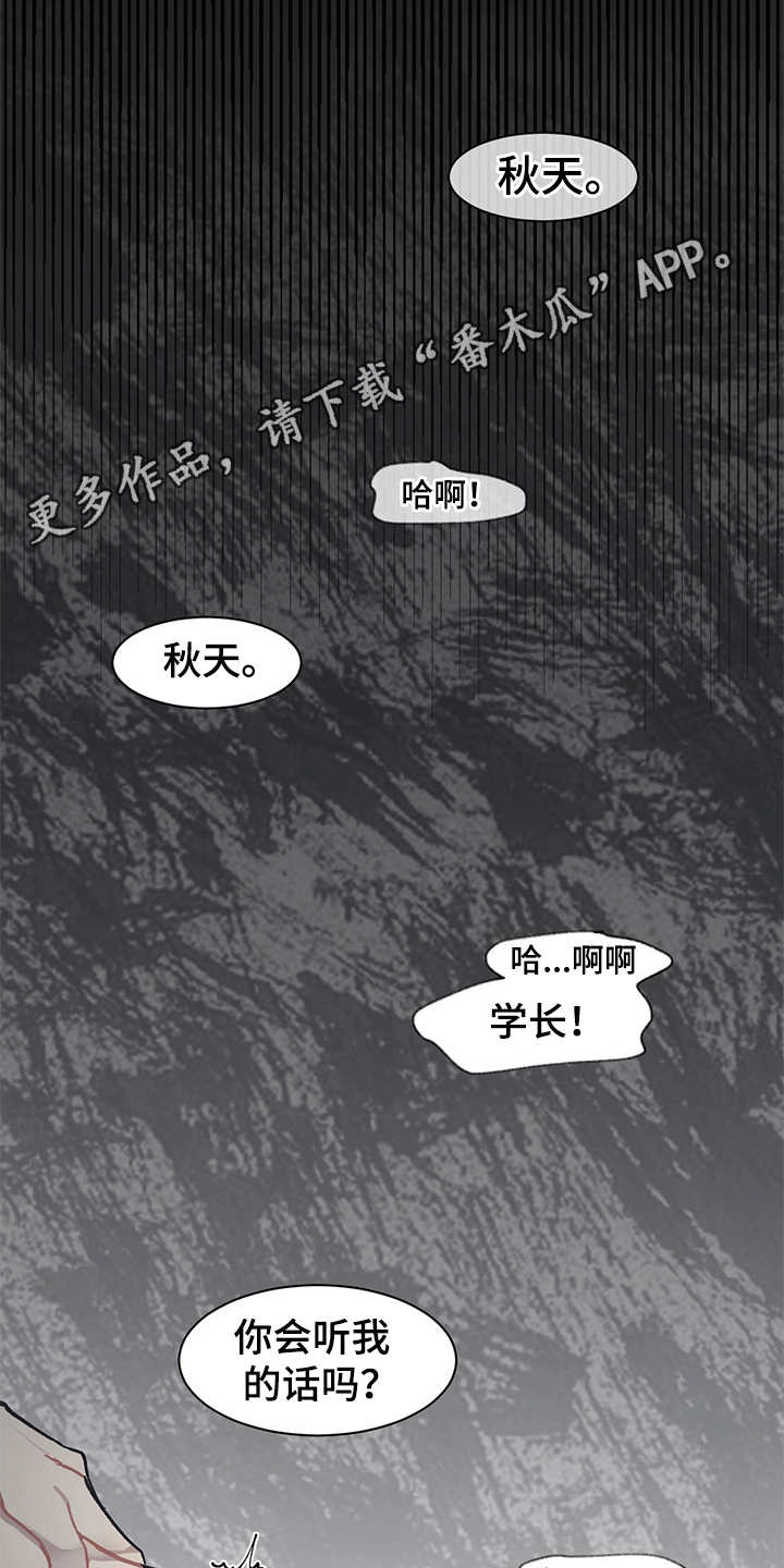 第19章：毒蛇3