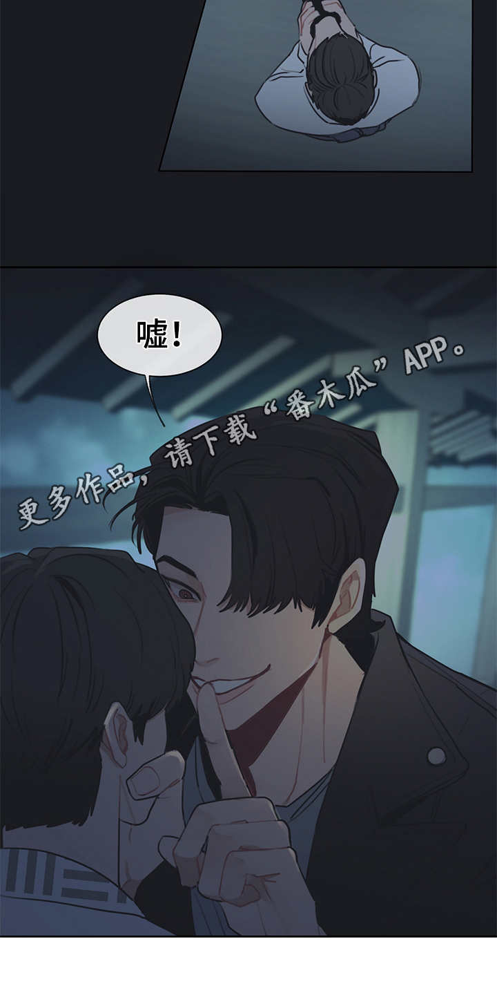 第52章：双胞胎3