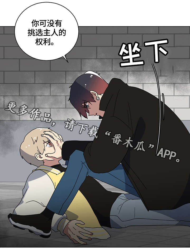 第5章：荒唐事3