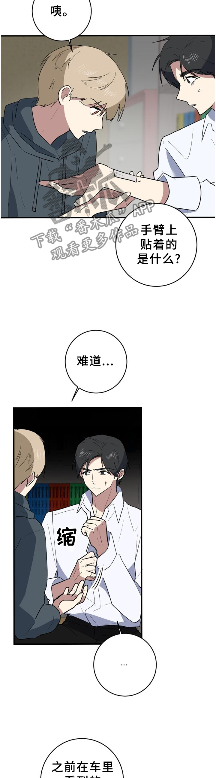 第115章：一生的记忆1