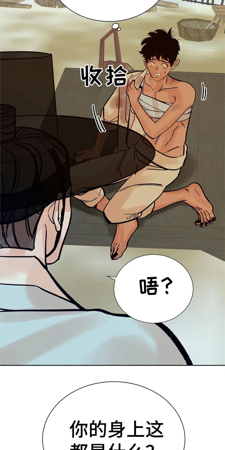 第14章：差点暴露4