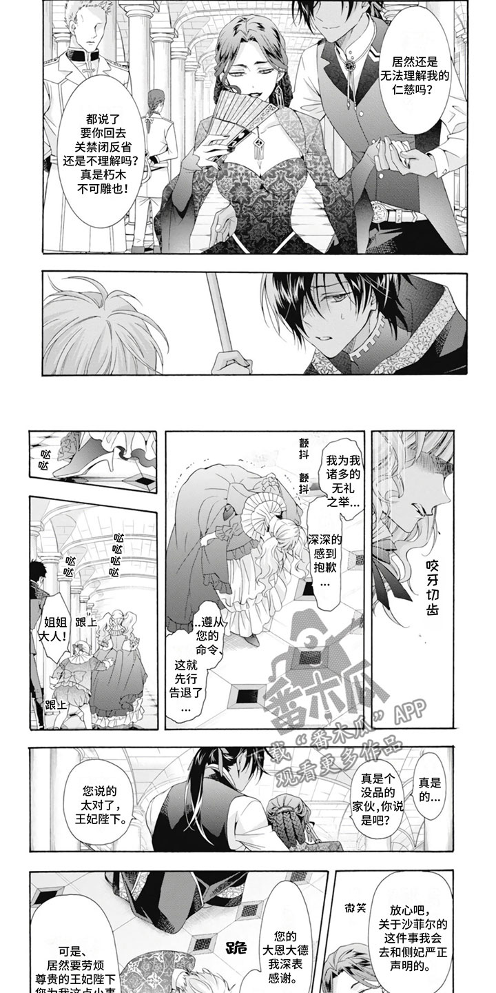 第21章：王妃3