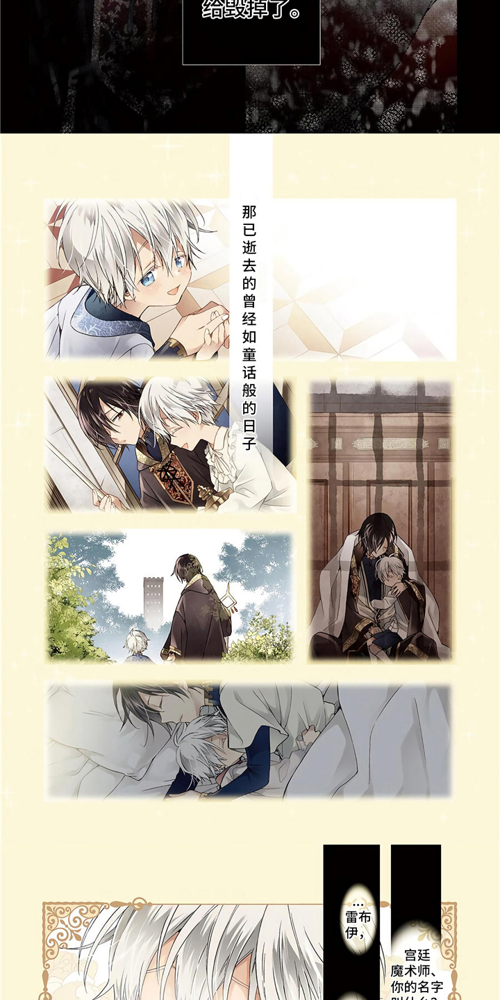 第1章：宫廷魔法师2