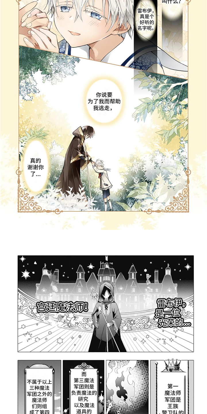 第1章：宫廷魔法师3
