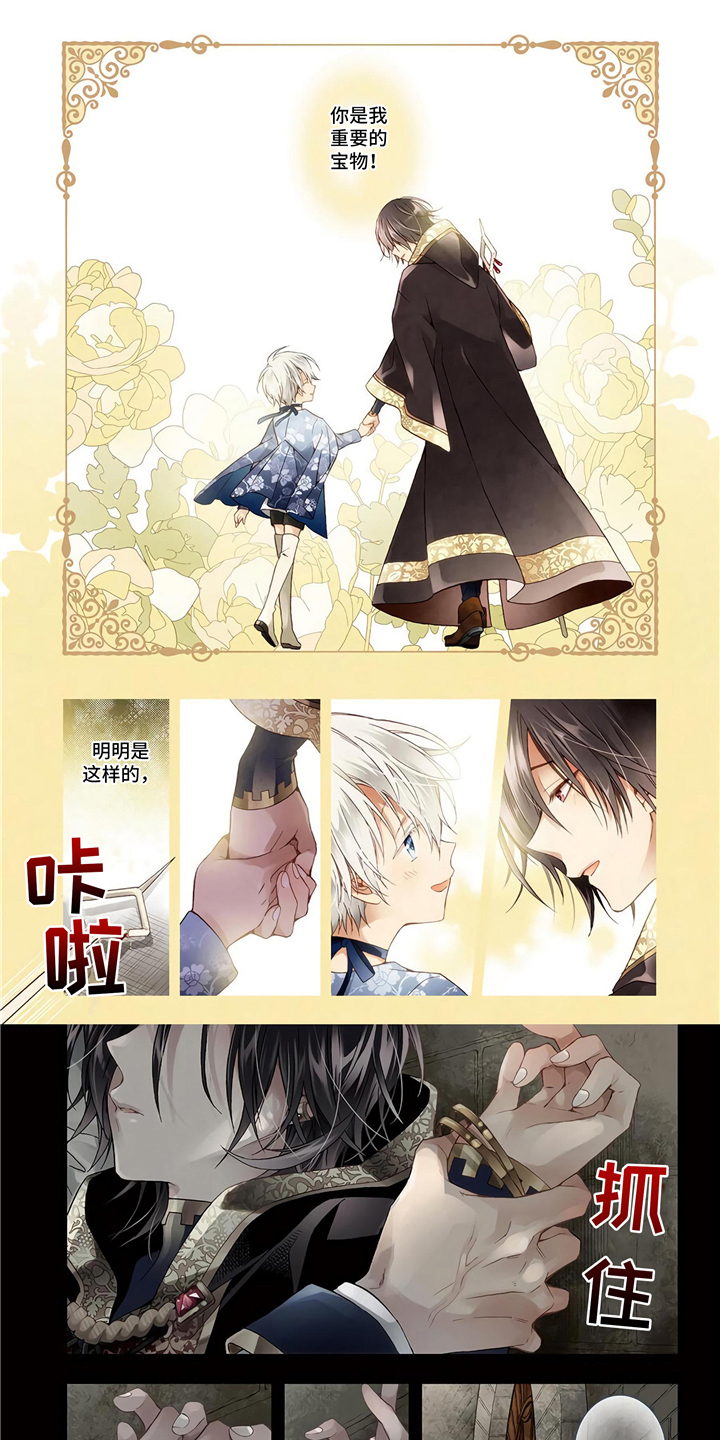 第1章：宫廷魔法师0