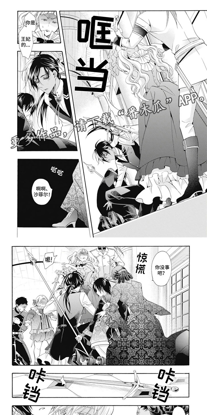 第21章：王妃0