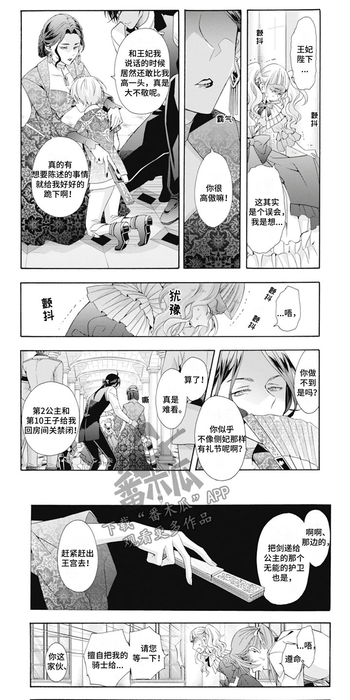 第21章：王妃2