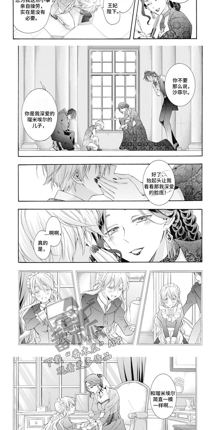 第21章：王妃4