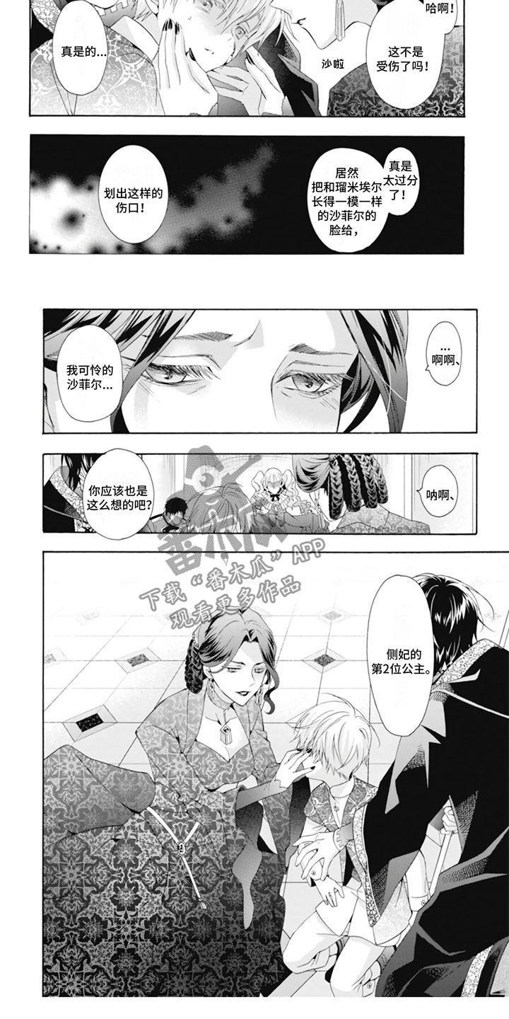 第21章：王妃1