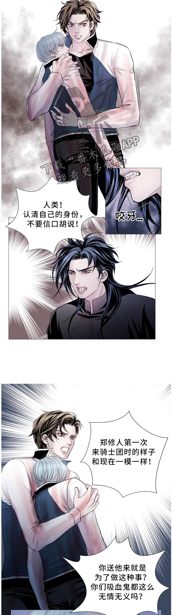 第75章：命令4
