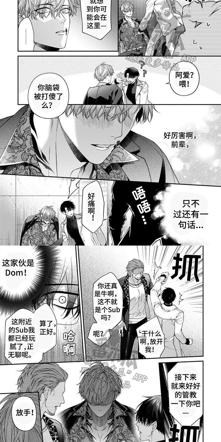 第15章：赶至3