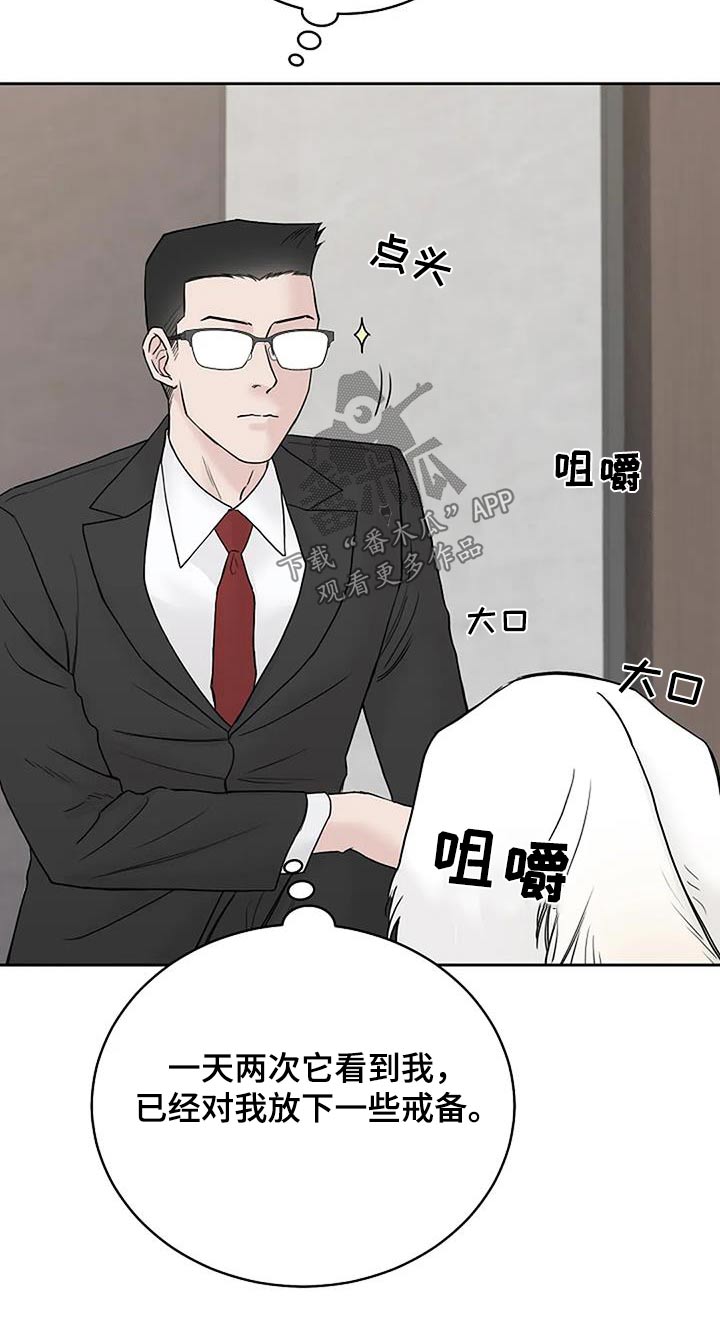 第54章：宠物0