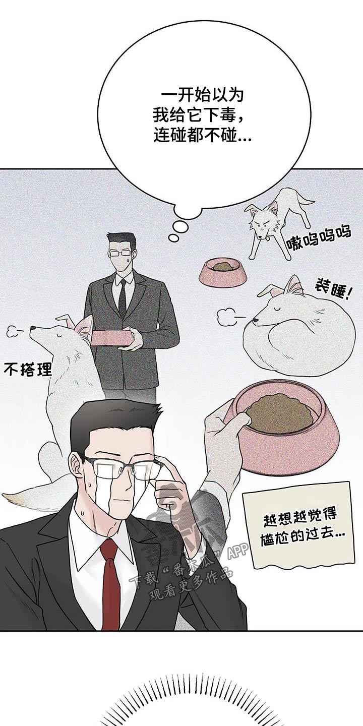 第54章：宠物1
