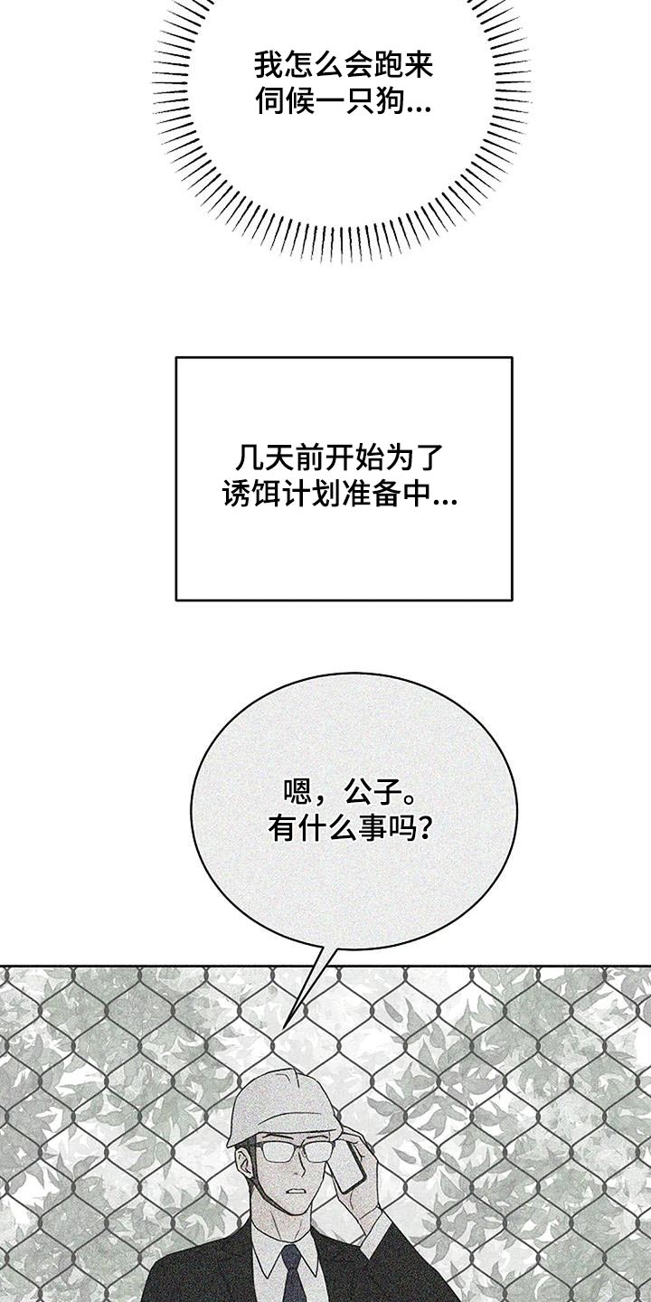 第54章：宠物2