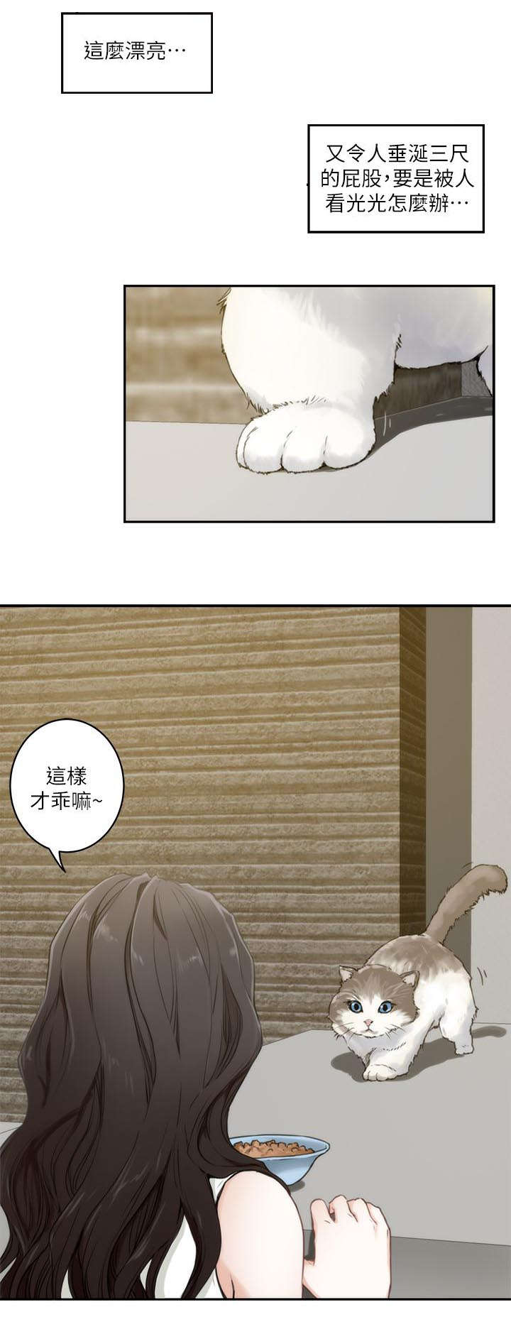 第3章：陈小桃3