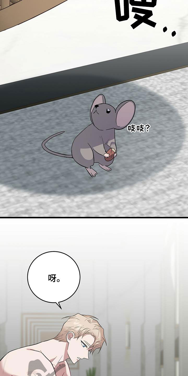 第29章：戒指1