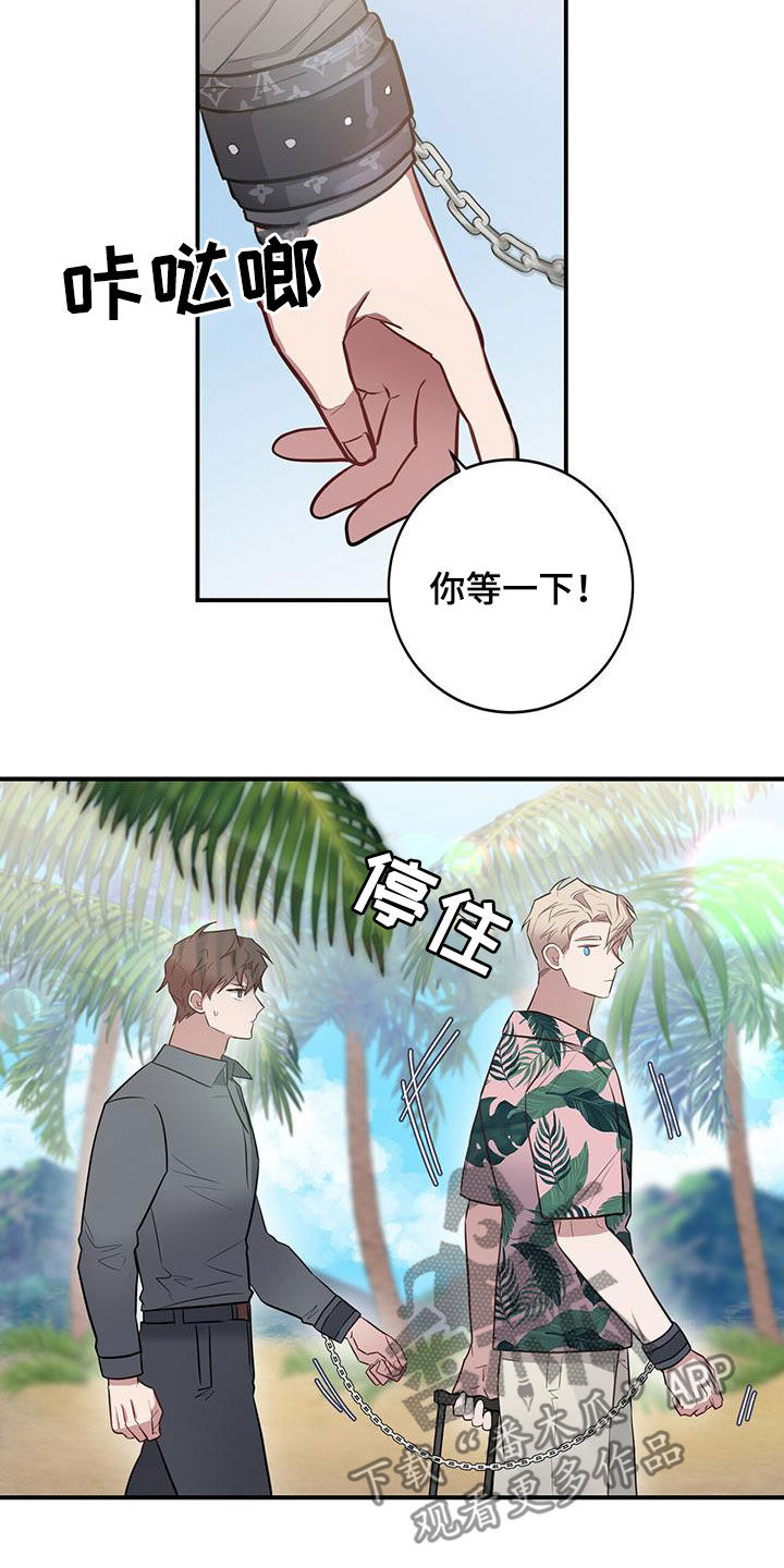 第31章：为了任务3