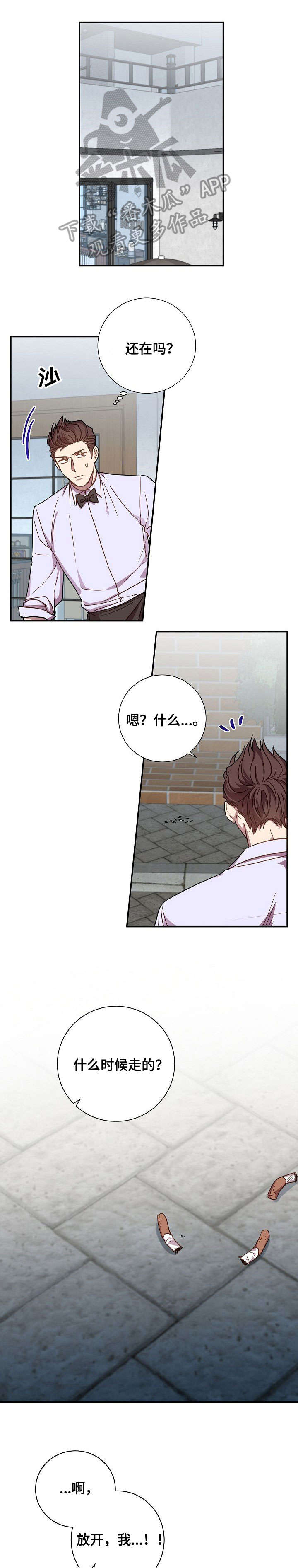 第31章：照片0