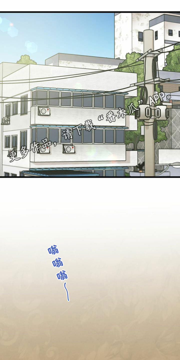 第41章：条件0