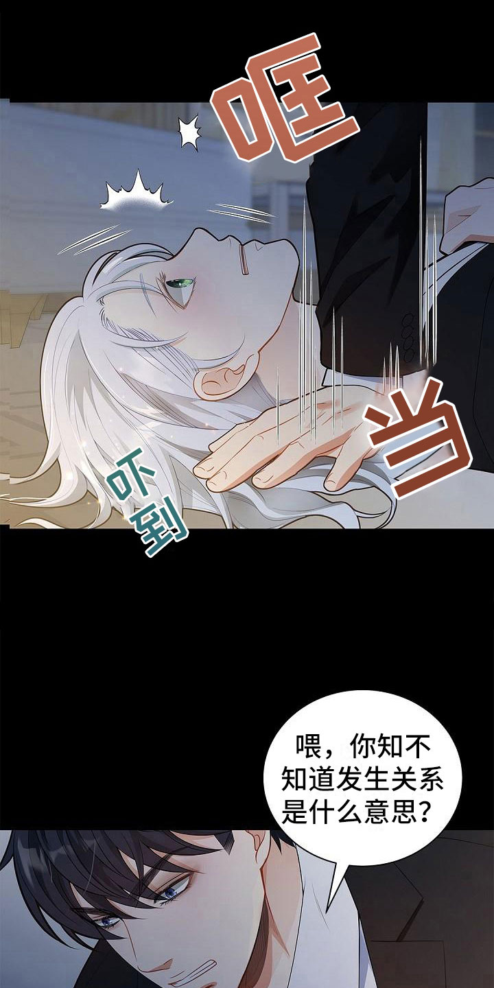 第3章：伴侣1