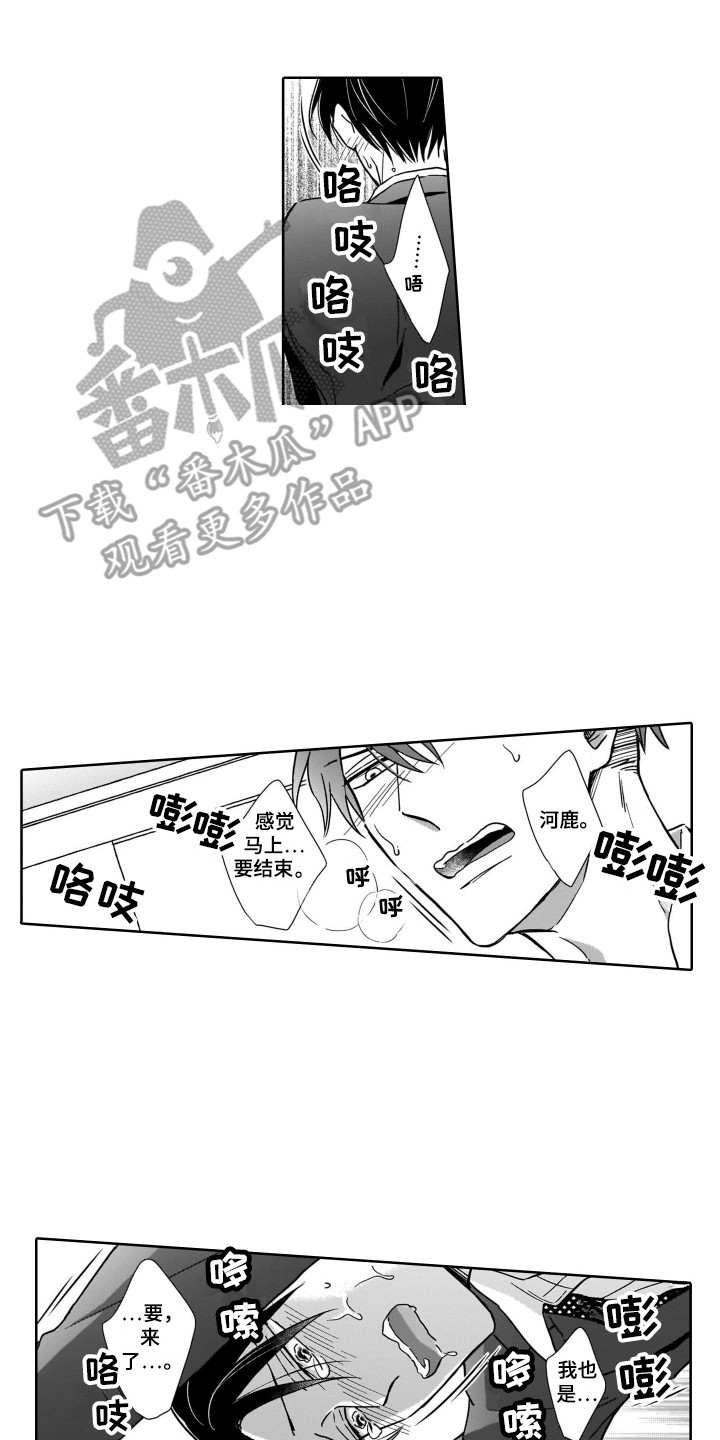 第31章：能理解1