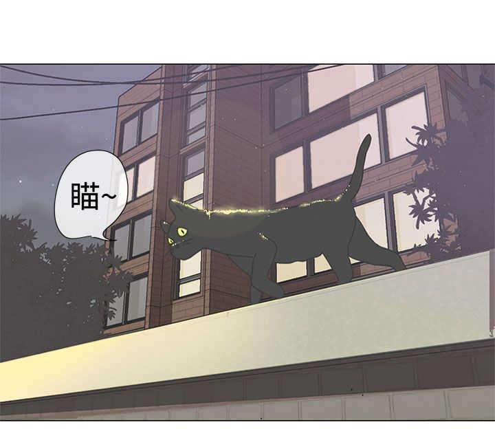 第2章：测试4