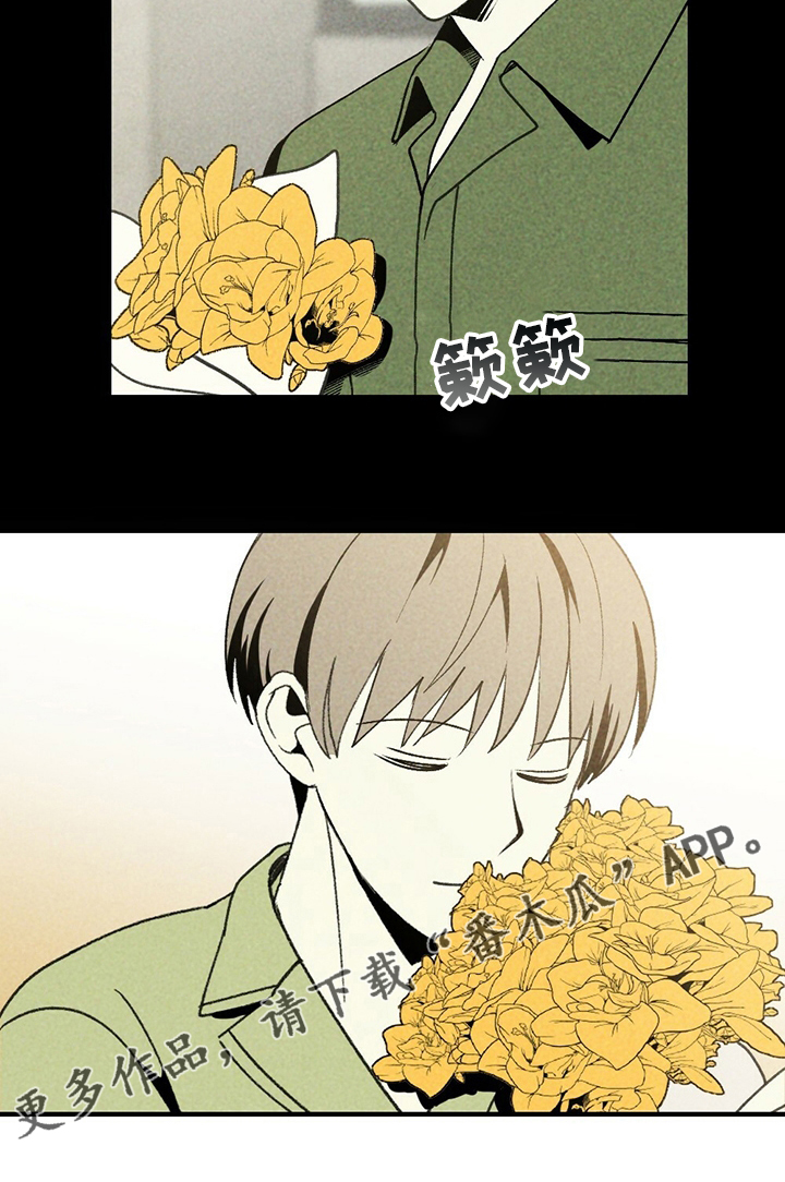 第64章：花儿1