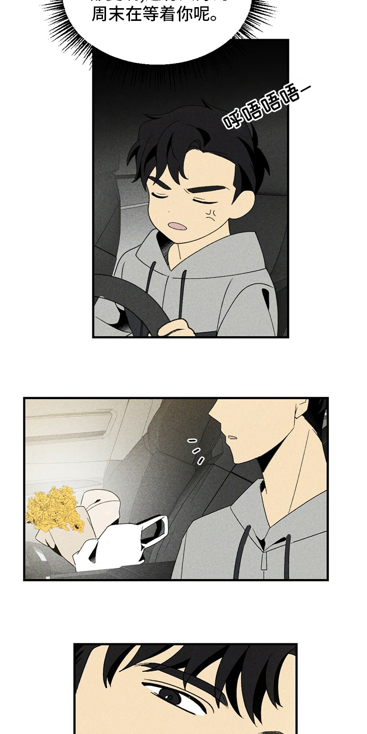 第64章：花儿3