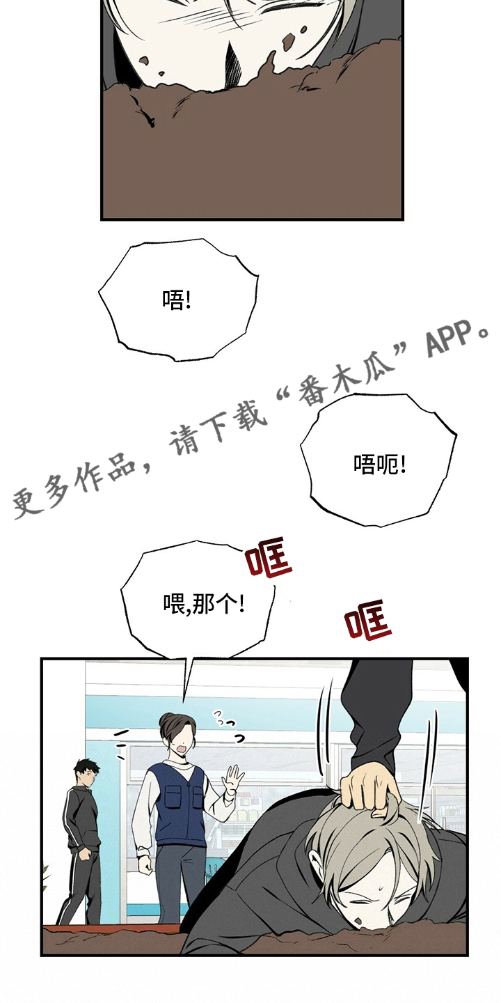 第73章：揍回去3