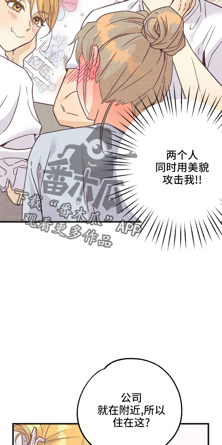第33章：一见钟情4