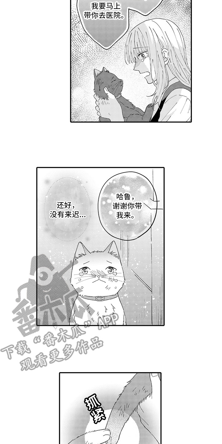 第20章：求救4