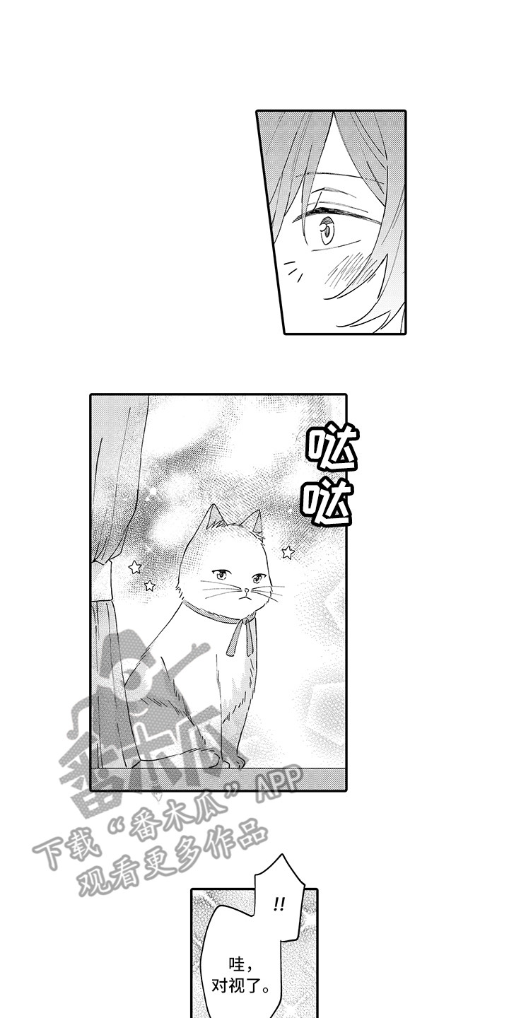 第23章：嫉妒0