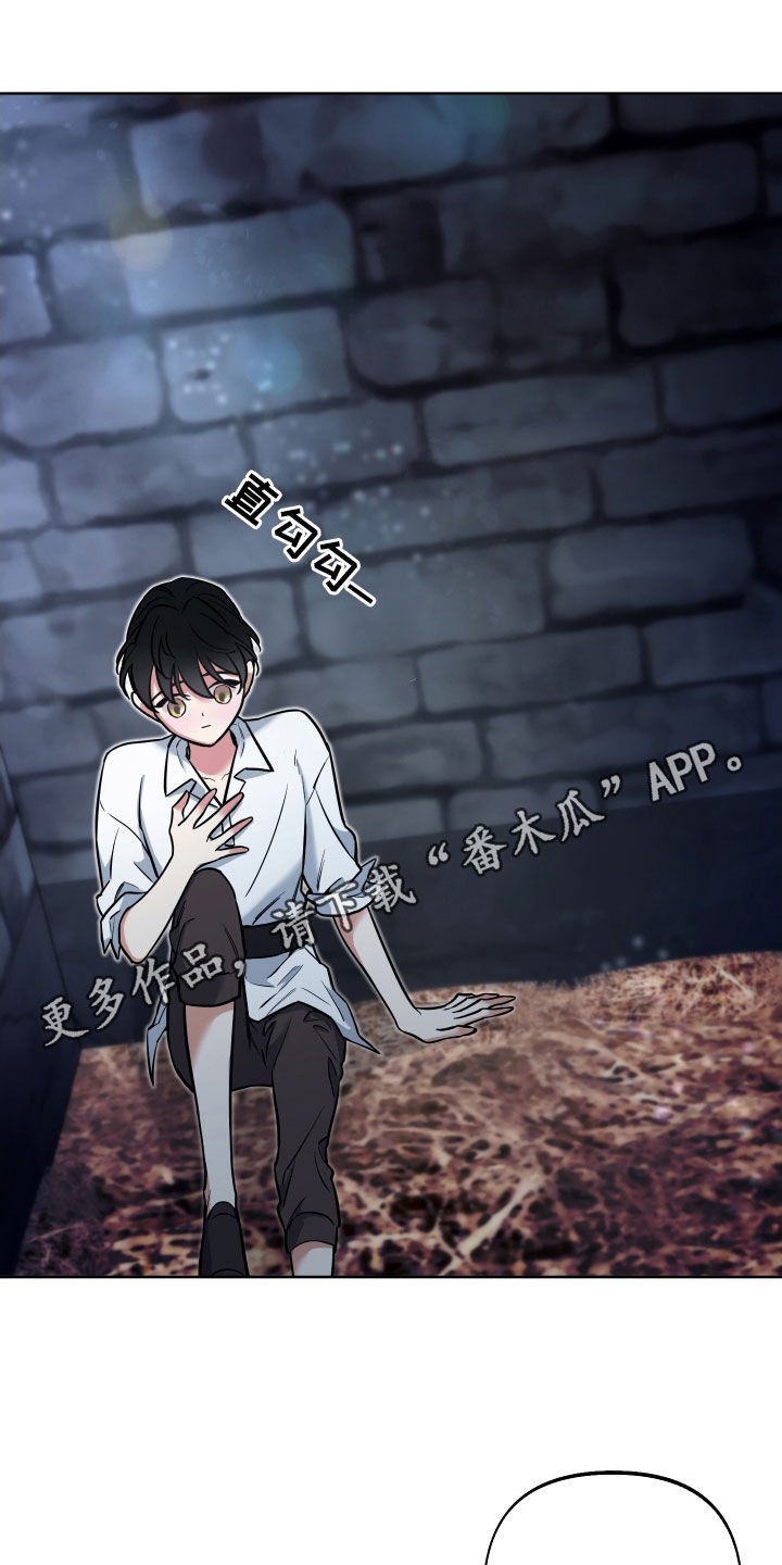 第18章：反转0