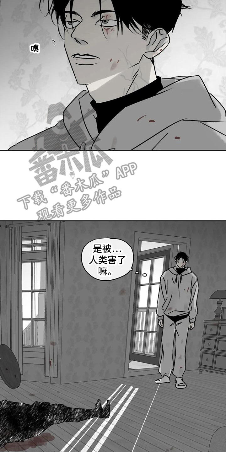 第6章：四处游荡0