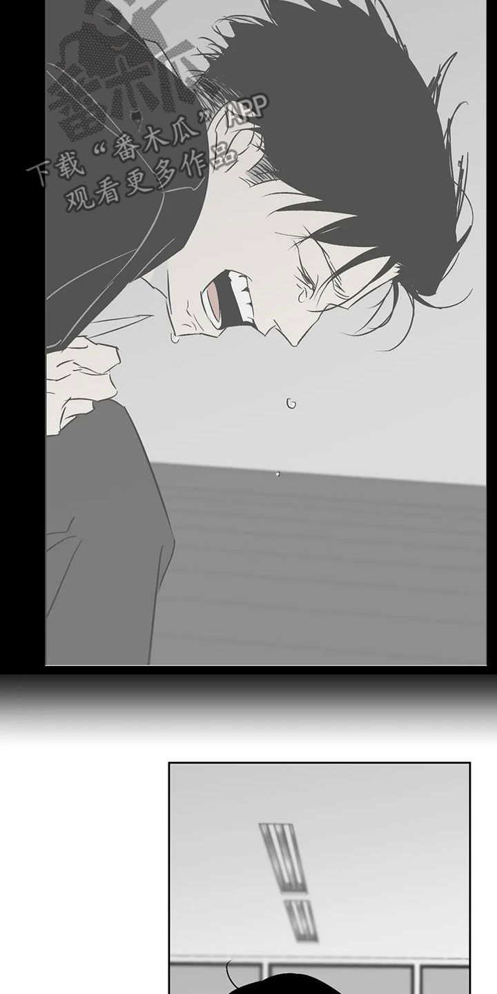 第28章：一直回荡4