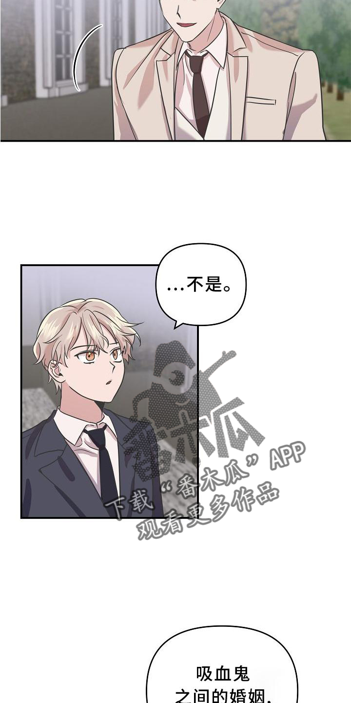 第20章：真爱4