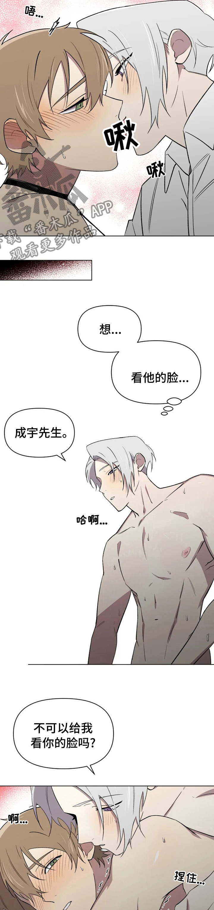 第53章：奖励1