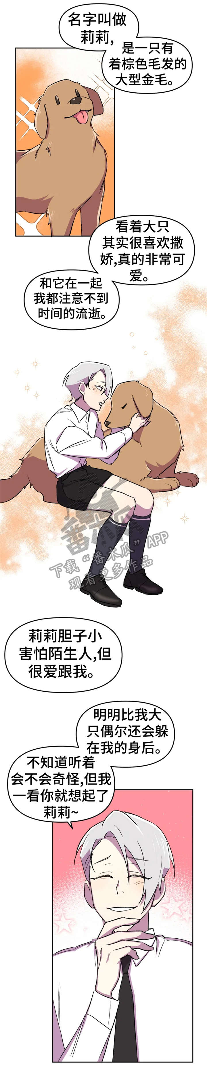 第11章：狗狗1