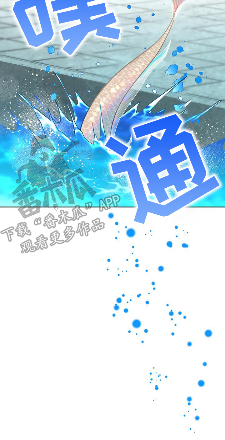第13章：擦拭3
