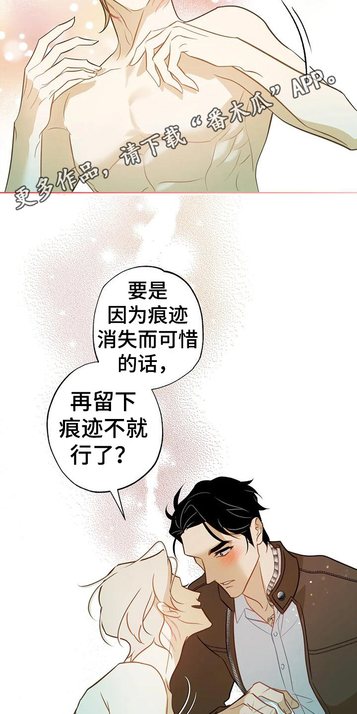 第13章：擦拭4
