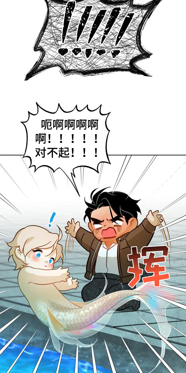 第13章：擦拭0