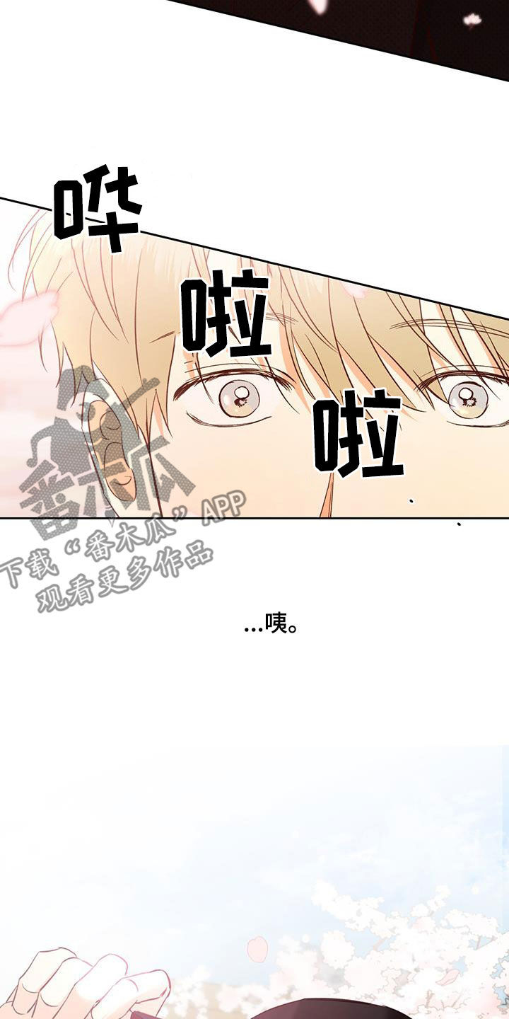 第185章：【番外】校园0