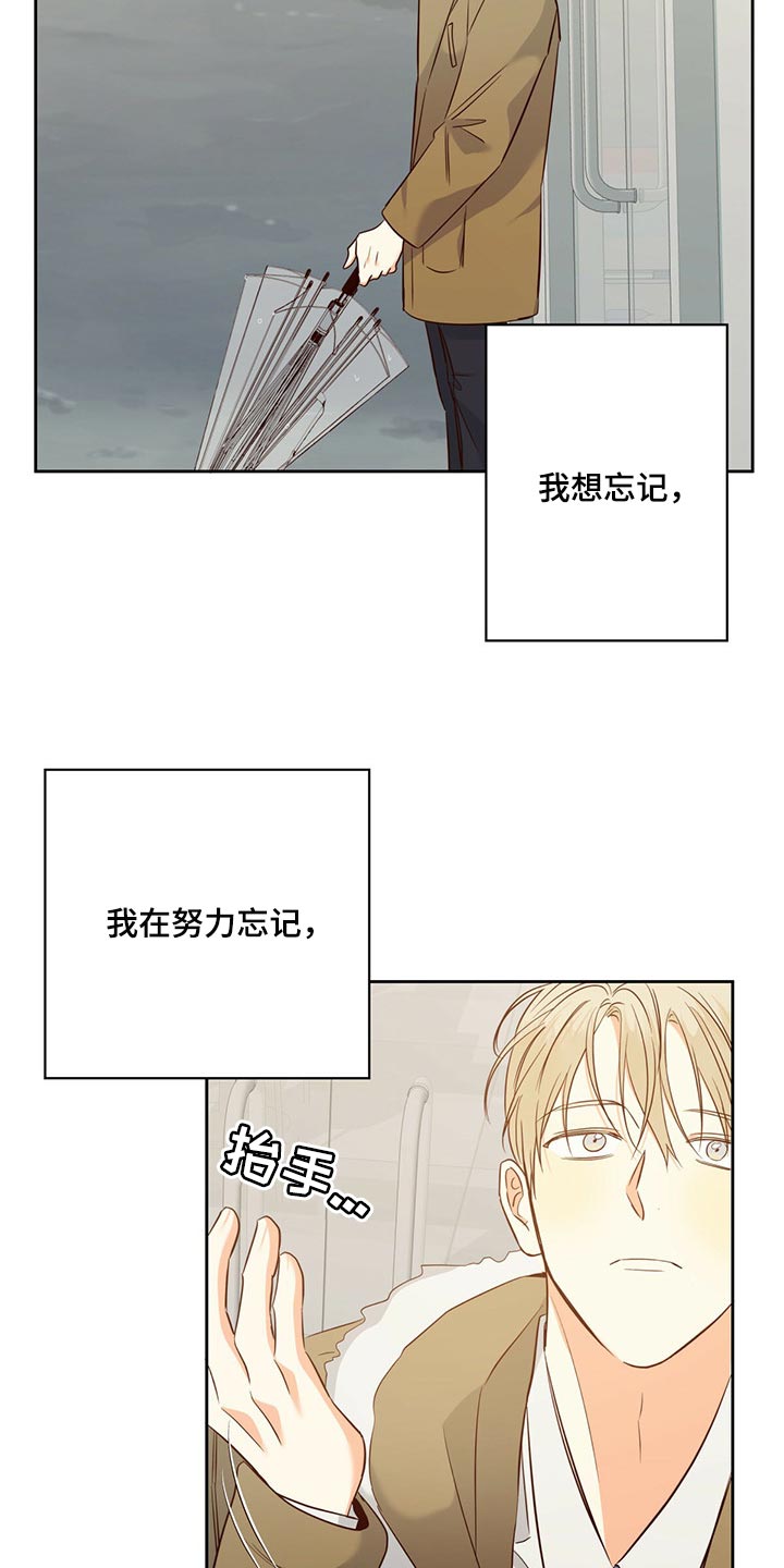 第119章：【第三季】无法忘记的某人1