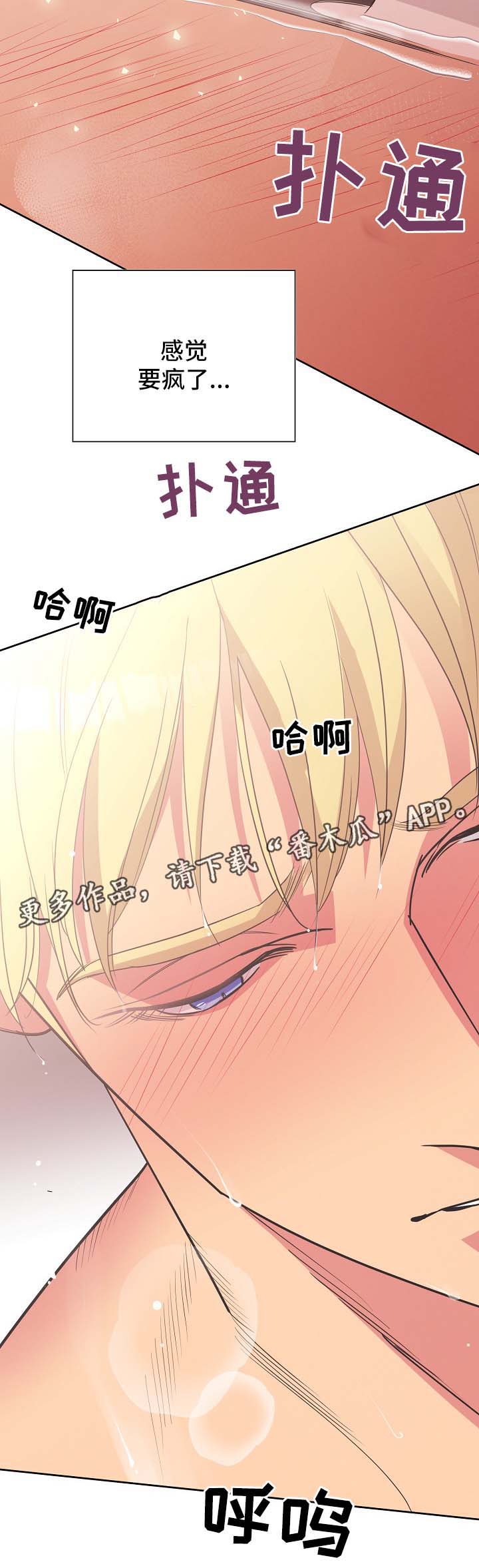 第37章：看来是疯了3