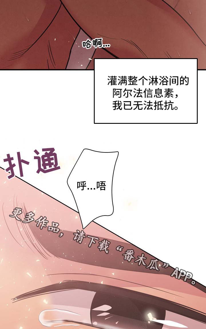 第37章：看来是疯了2